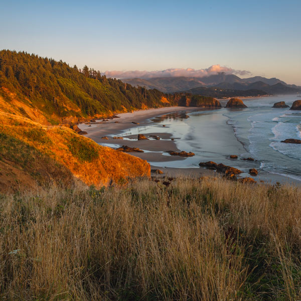view of beach with mountain of trees along beach
